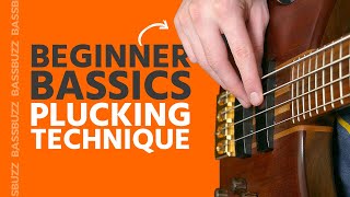 Basic Bass Plucking Technique Beginner Bass Basics [upl. by Etty]