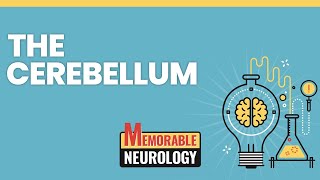 Cerebellum Mnemonics Memorable Neurology Lecture 6 [upl. by Noyk141]