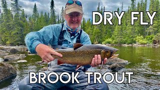 Ultimate Labrador Brook Trout Fishing [upl. by Haraj]