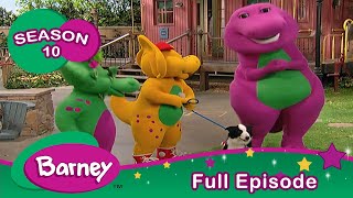 Barney  FULL Episode  Pets  Season 10 [upl. by Pilar26]