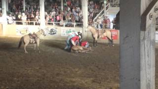 Horse breaks neck in rodeo [upl. by Holub63]