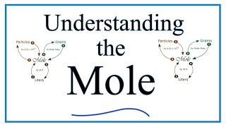 Understanding the Mole the basics [upl. by Ringsmuth]