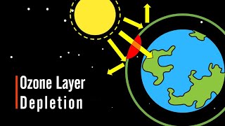 How is ozone formed in the upper atmosphere State its importance What is responsible for it [upl. by Florenza]