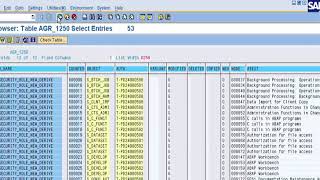 SE16 tcode in SAP [upl. by Hayimas984]