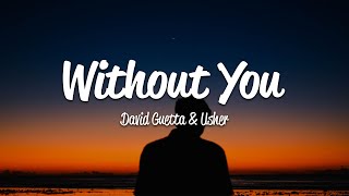 David Guetta  Without You Lyrics ft Usher [upl. by Ainorev668]