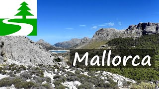 Die schönsten Wanderungen auf Mallorca [upl. by Kcirdek]