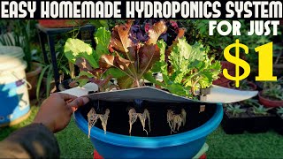 Cheapest Hydroponic System For Everyone  Under 1100 Rs [upl. by Asiuol304]