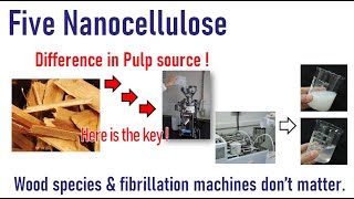 Five nanocellulose productions [upl. by Esiouqrut]