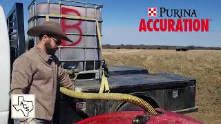 7 Benefits of Purina Accuration Liquid Feed [upl. by Jeanelle291]