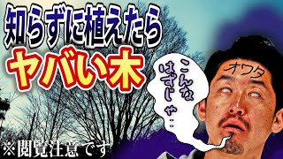 【絶対庭に植えてはいけない木】植木生産者が知らず植えると後悔する木をご紹介します [upl. by Asina547]