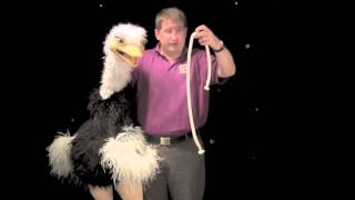 PUPPETRY FOR BEGINNERS  Part 5 Tricks [upl. by Ernestine602]