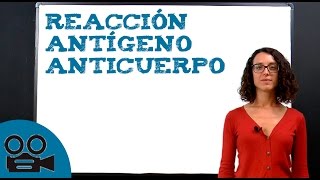 Reacción antígeno anticuerpo [upl. by Neumeyer90]