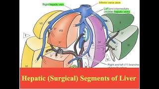 Symptoms of an Enlarged Spleen [upl. by Eynaffit526]