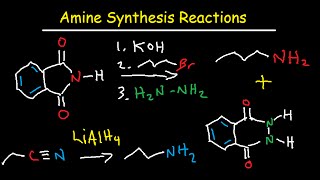 Amine Synthesis Reactions Organic Chemistry  Summary amp Practice Problems [upl. by Gean]