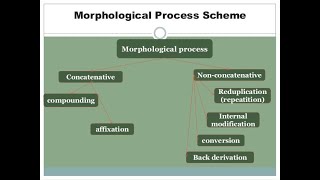 Morphological Processes Definitions and Examples [upl. by Yknip323]