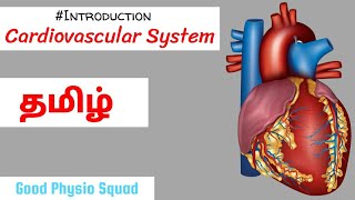 Physiology  Introduction to the Cardiovascular System in Tamil Lecture [upl. by Higgs]