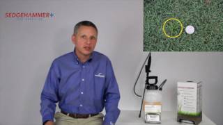 Nutsedge control with SedgeHammer® Herbicide [upl. by Bhayani]