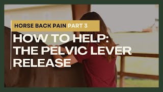 Horse Back Pain Part 3 How to Help The Pelvic Lever Release [upl. by Leyla]