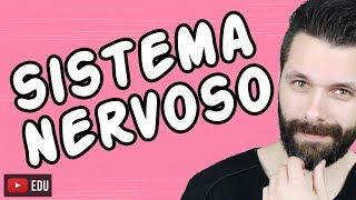 SISTEMA NERVOSO  FISIOLOGIA  Aula  Biologia com Samuel Cunha [upl. by Waynant]