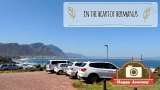 Top 5 Hermanus General Attractions and more Details in Description [upl. by Enitsua]