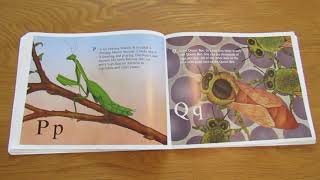 The Icky Bug Alphabet Book [upl. by Levitan]