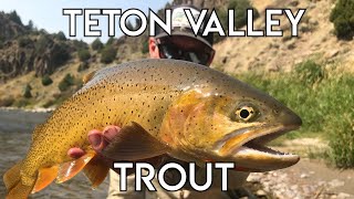 Teton Valley Trout  Ultimate Idaho Fly Fishing [upl. by Nortyad30]