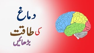 How To Increase Your Brain Power  Dimag Tez Karen [upl. by Wolsky]