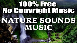 FREE NO COPYRIGHT NATURE SOUND MUSIC [upl. by Auoz]