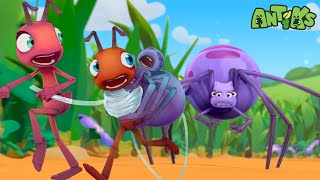 Sticky Spider Trouble  Antiks 🐜  Funny Cartoons for Kids [upl. by Lydnek376]