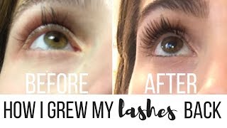 How I Grew My Eyelashes Back After Eyelash Extensions [upl. by Gladis]