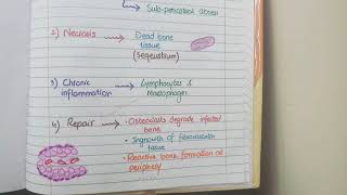 Acute Osteomyelitis And Chronic Osteomyelitis  Pathology [upl. by Flss]