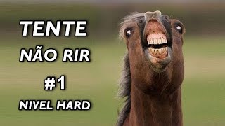 Tente Não Rir Nível Hard 1 [upl. by Layton]