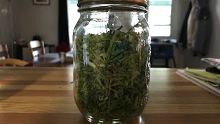 Dehydrating Chives [upl. by Esinned]