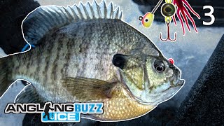 Ice Fishing Panfish – AnglingBuzz ICE [upl. by Timothy133]