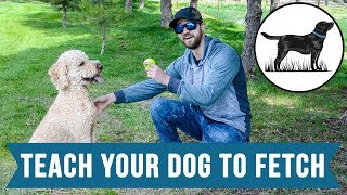 Stevin John  How To Teach Your Dog To Fetch [upl. by Emma]