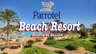 Parrotel Beach Resort 5  Nabq Bay  Sharm El Sheikh Egypt [upl. by Vinson]