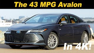 2019 Toyota Avalon Hybrid Review  First Drive [upl. by Aser]