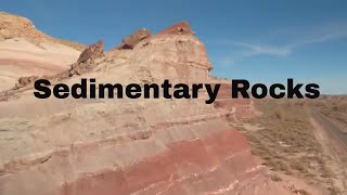 Sedimentary Rock Examples [upl. by Hueston]