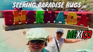 Seeking Paradise in Ensenada  Low Cost of Living in Mexico  Early Retirement Expats [upl. by Katushka]