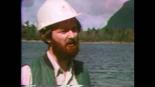 Land amp Sea Silviculture in Newfoundland [upl. by Rutter]