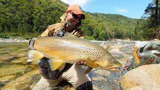 My BIGGEST Brown Trout EVER [upl. by Petrie]