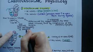 Ventricular Rhythms  EKG Interpretation  LevelUpRN [upl. by Frymire559]