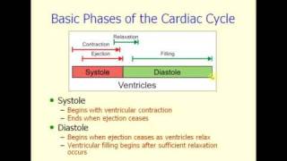 Cardiac Cycle  Cardiovascular Physiology [upl. by Nolyd]