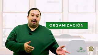 Que es una Organización [upl. by Bunting]