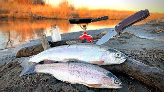 RAINBOW TROUT Fishing CLEAR REMOTE Creek Catch amp Cook [upl. by Kablesh]