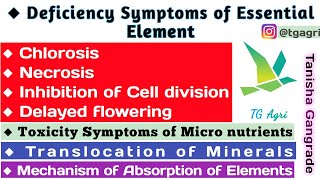 Deficiency symptoms of essential elements  deficiency symptoms in plants  Chlorosis and Necrosis [upl. by Adnohsak]