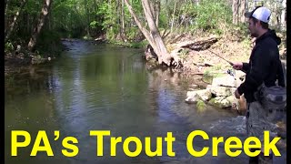 Fishing Pennsylvanias Trout Creek [upl. by Eceerahs]