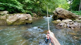 Mountain Stream TROUT Fishing Rainbow amp Brown [upl. by Darda]