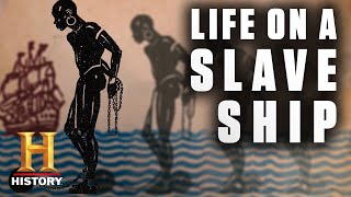 Life Aboard a Slave Ship  History [upl. by Hauck950]