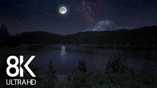 10 HRS of Nighttime Nature Soundscapes Lake Waves Cicadas Crickets  8K Enchanting Night [upl. by Inavoj]